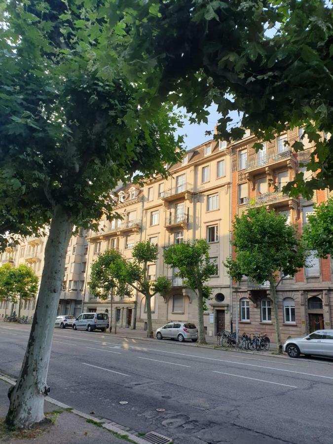 Strasbourg Centre Le 85, Superbe F5, 125M2, 5 Pieces公寓 外观 照片